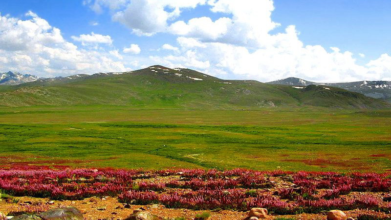 Deosai in Spring