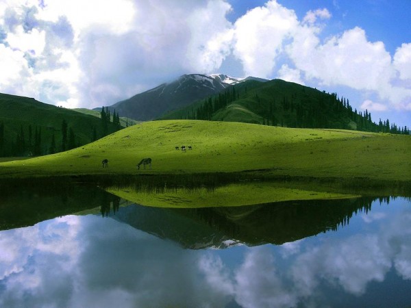 First Deosai Plains Festival starts on August 28